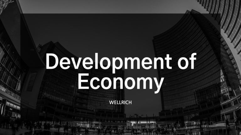경제 개발과 개도국의 경제적 도전과제