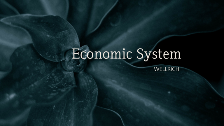 경제 금융 시스템과 금융 위기