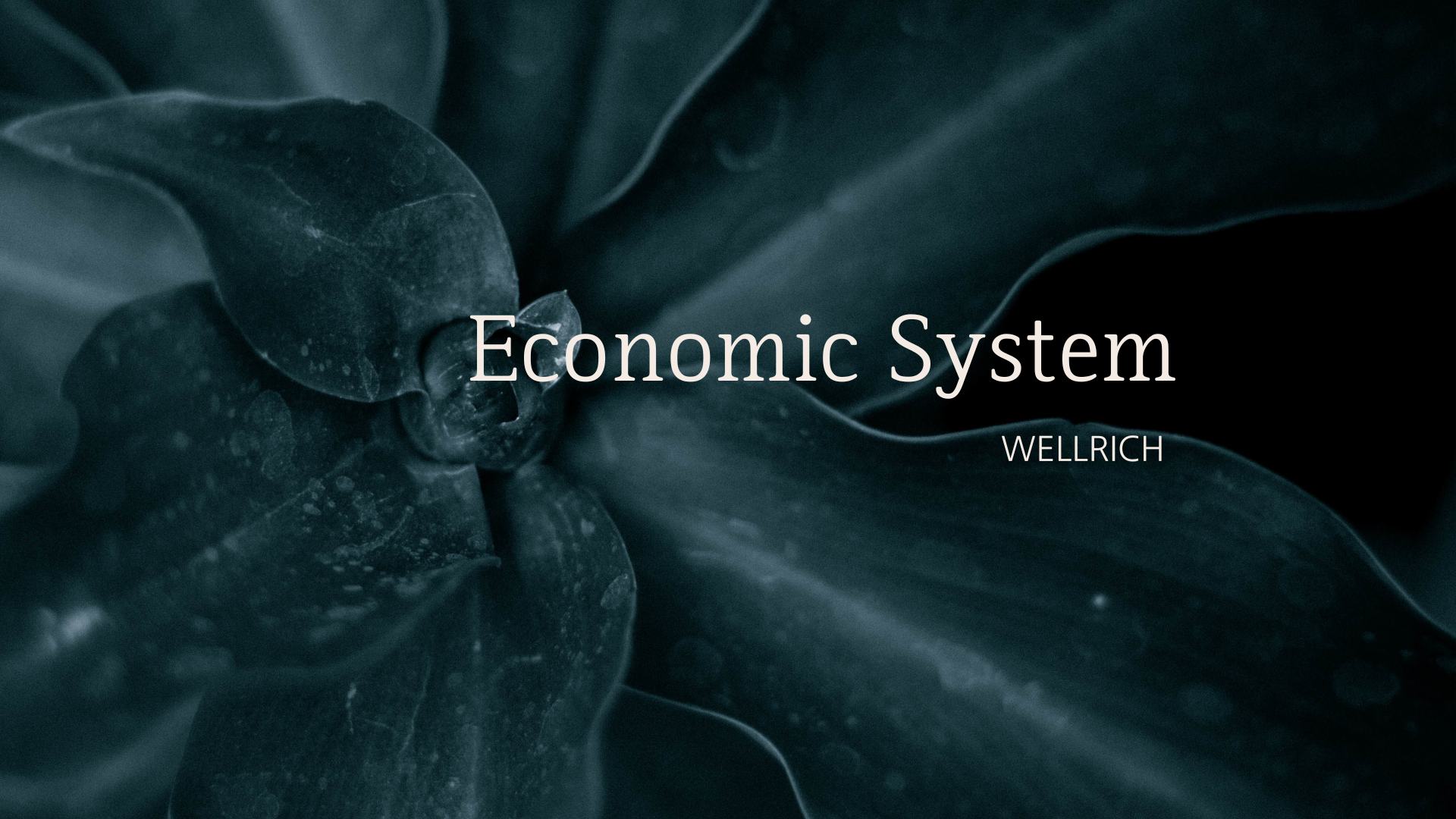 경제 금융 시스템과 금융 위기